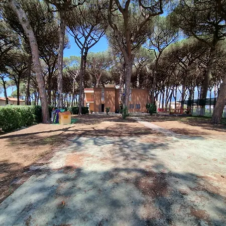 Mare In Pineta *
