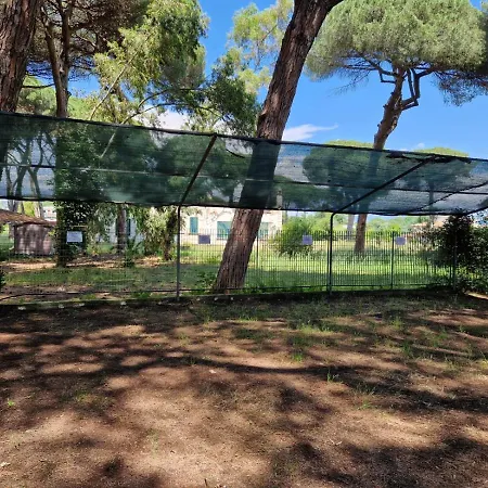Mare In Pineta Apartamento *