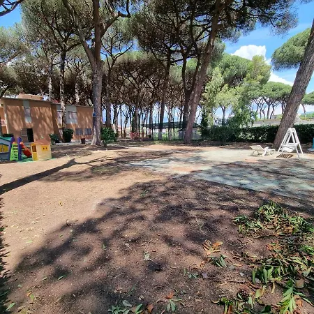 Mare In Pineta *